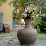 Casa de Noca Paquetá
